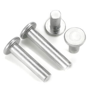 Flat Head Rivets